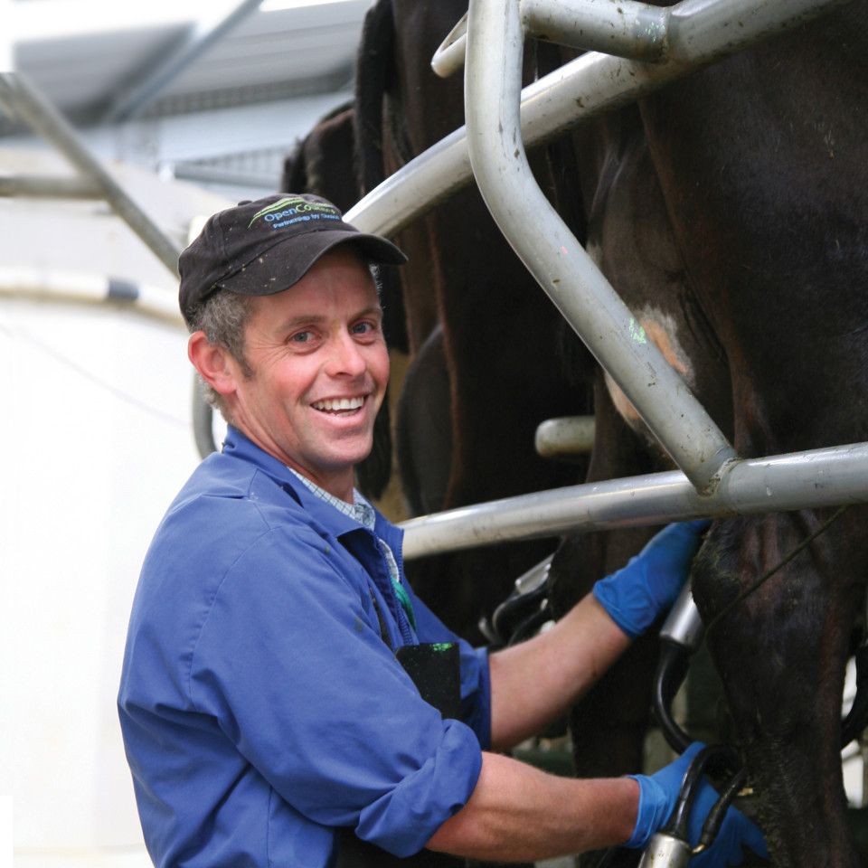 Testimonial Johnston