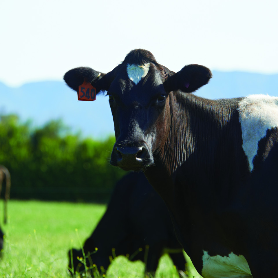 MatamataPhotoshoot Dec2019 118