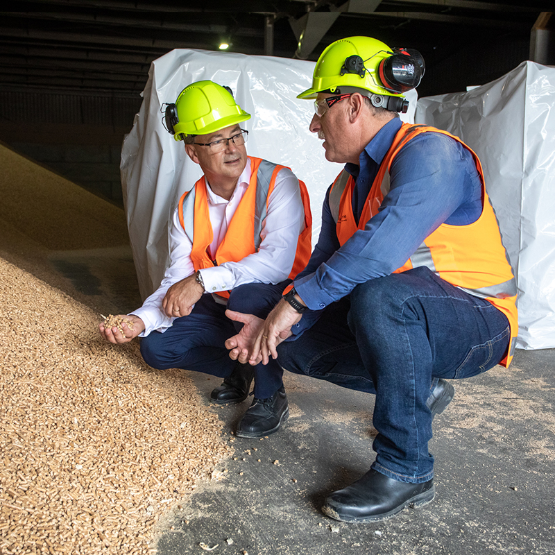 Story Natures Flame 2